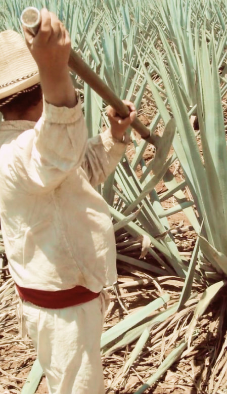 Imagen del componente